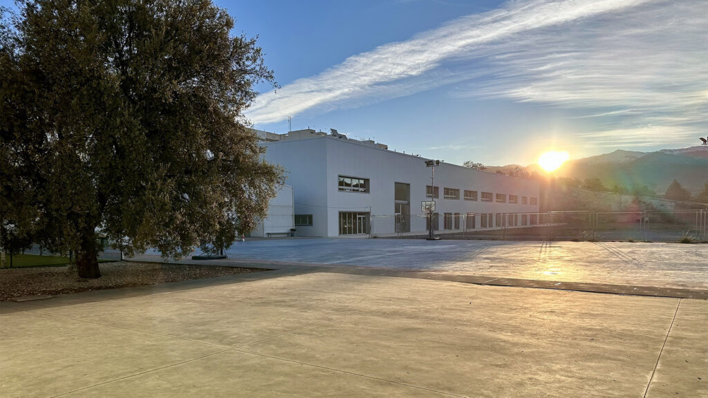 formacion profesional