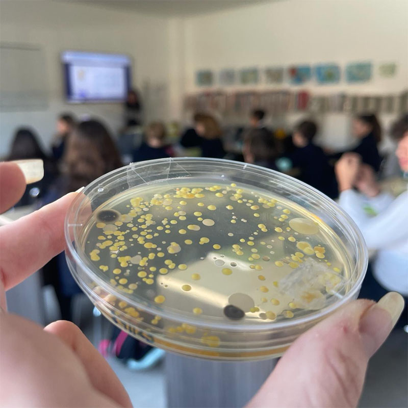 moleculas summer camp